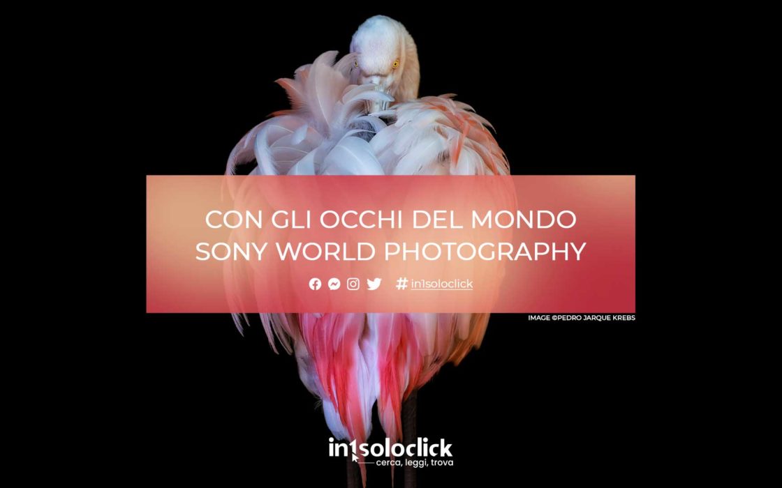 Sony World Photography
