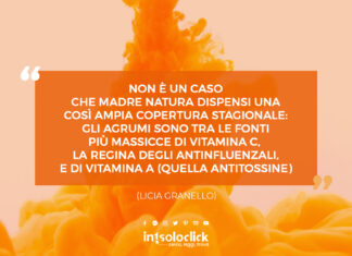 Non è un caso che madre natura dispensi una così ampia copertura stagionale: gli agrumi sono tra le fonti più massicce di vitamina C, la regina degli antinfluenzali, e di Vitamina A (quella antitossine) (Licia Granello)